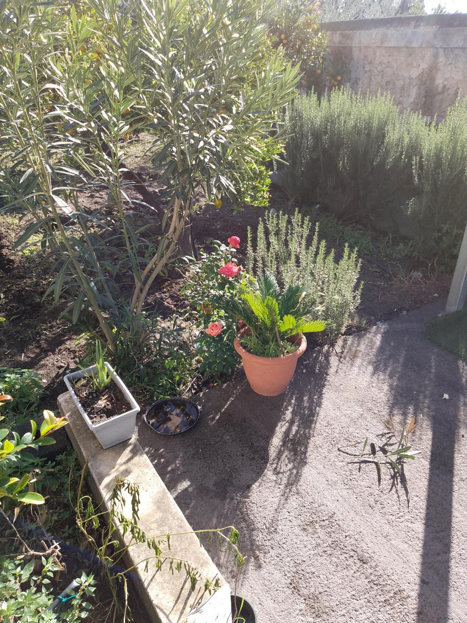 Le Casette Di Nonna Rosa In Fontanarossa Catania Airport Exterior foto