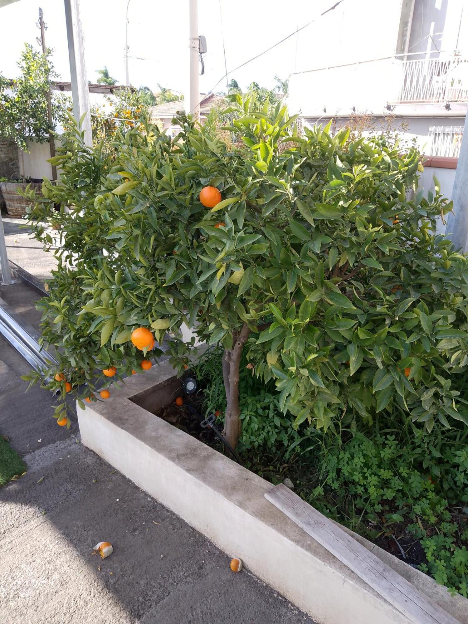 Le Casette Di Nonna Rosa In Fontanarossa Catania Airport Exterior foto